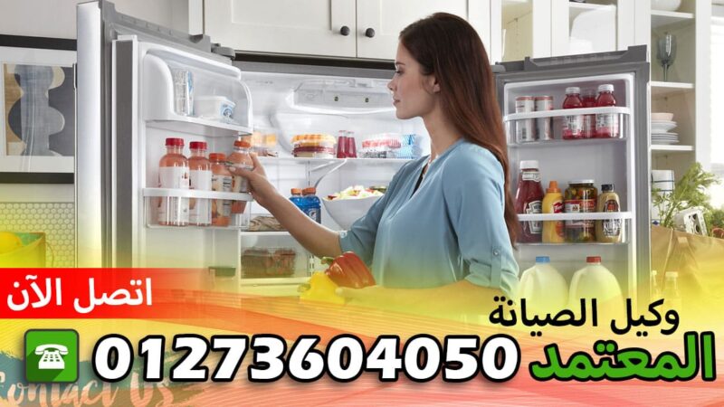 صيانة زانوسى الشرقية الحسينية