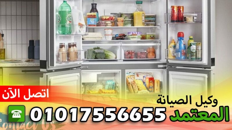 صيانة فيليبس الدقهلية ميت غمر